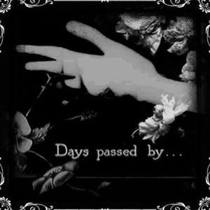 Meet your Posher, Marla